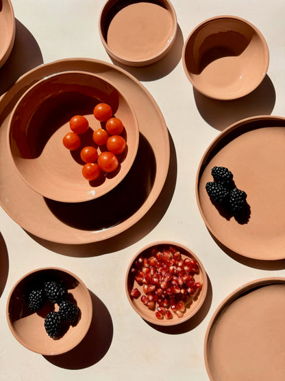 DINNER PLATE IN RHUBARB